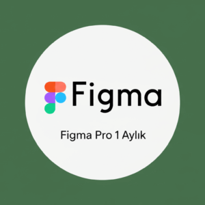 Figma Pro 1 Aylık